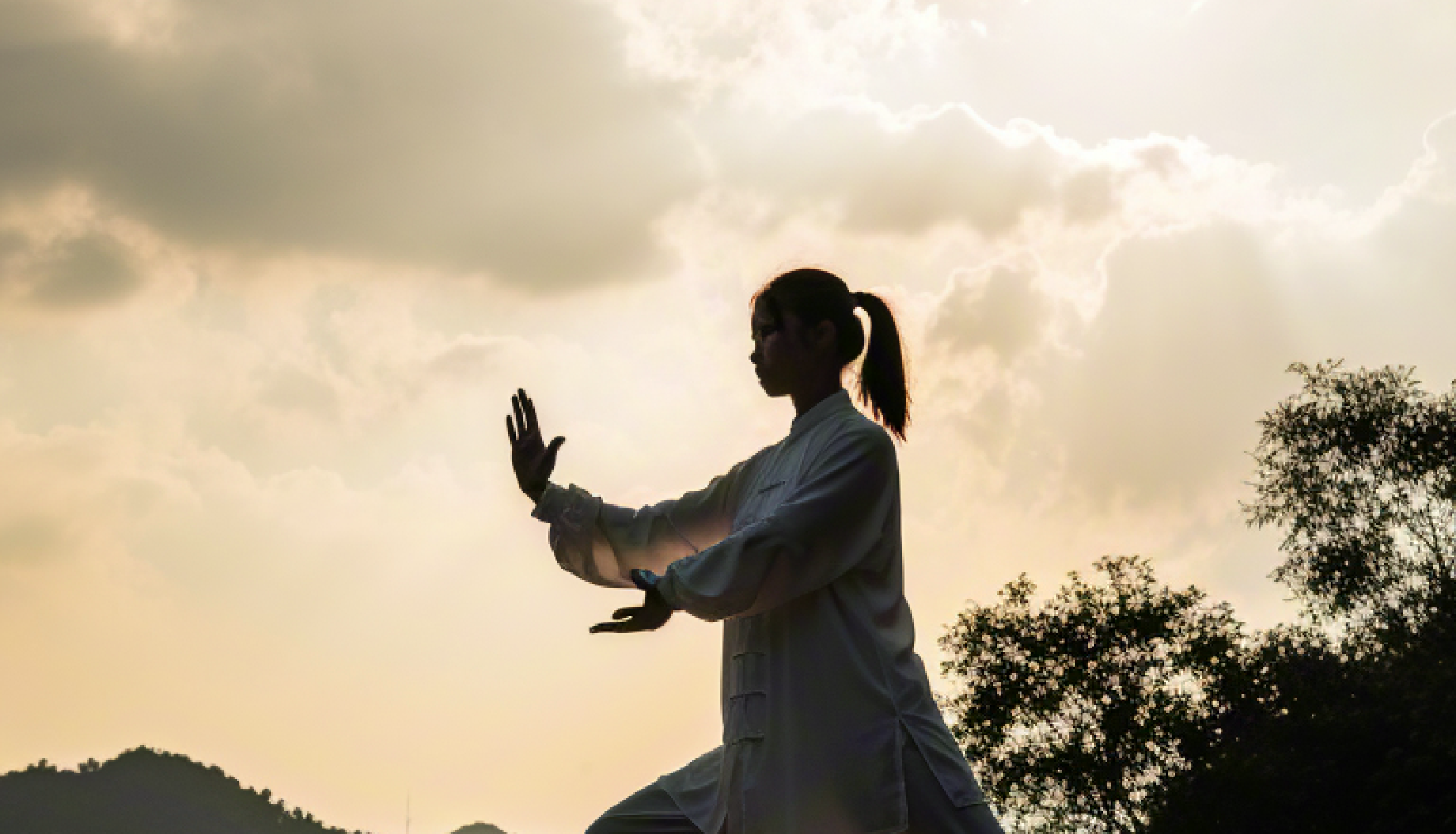Qi Gong Qi Gong