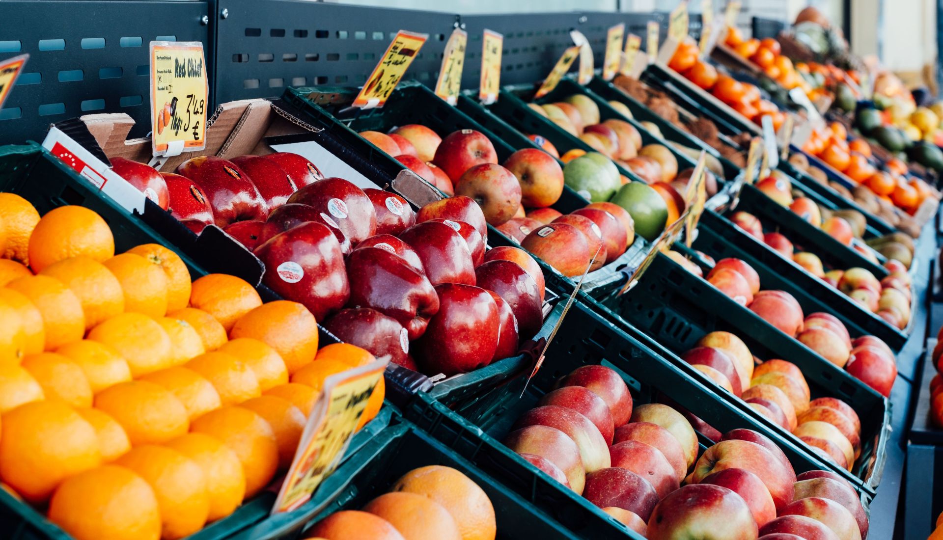 Conférence – Quelques idées reçues sur la nutrition